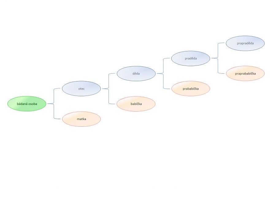 Sestavení rodokmenu - přímé otcovské linie