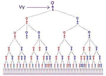 Vývod z předků, nejčastější genealogický výzkum současnosti