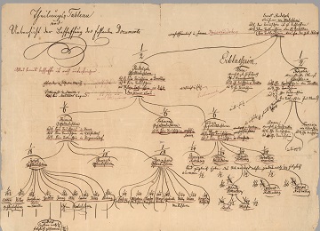 Vývod z předků, nejčastější genealogický výzkum současnosti